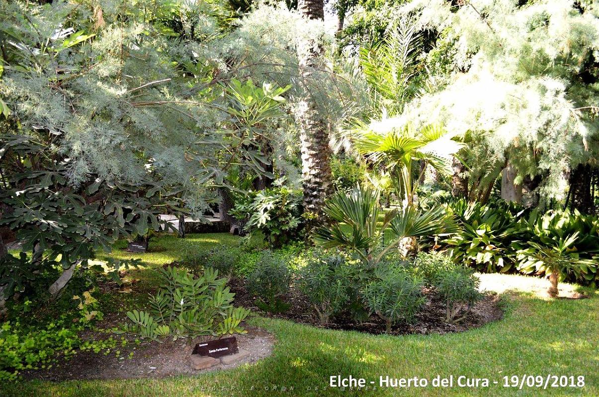 19 ELCHE HUERTO DEL CURA (51).JPG